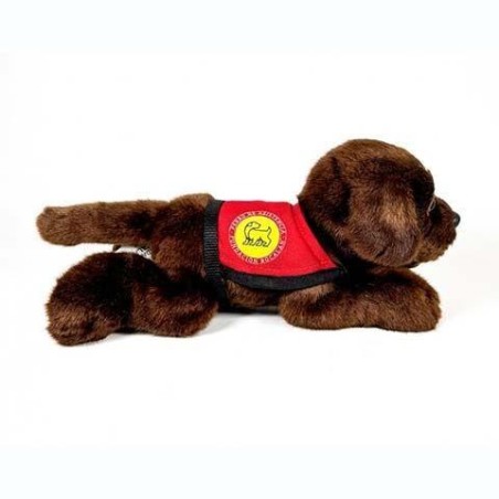 Peluche Perro Labrador Chocolate Con Cha