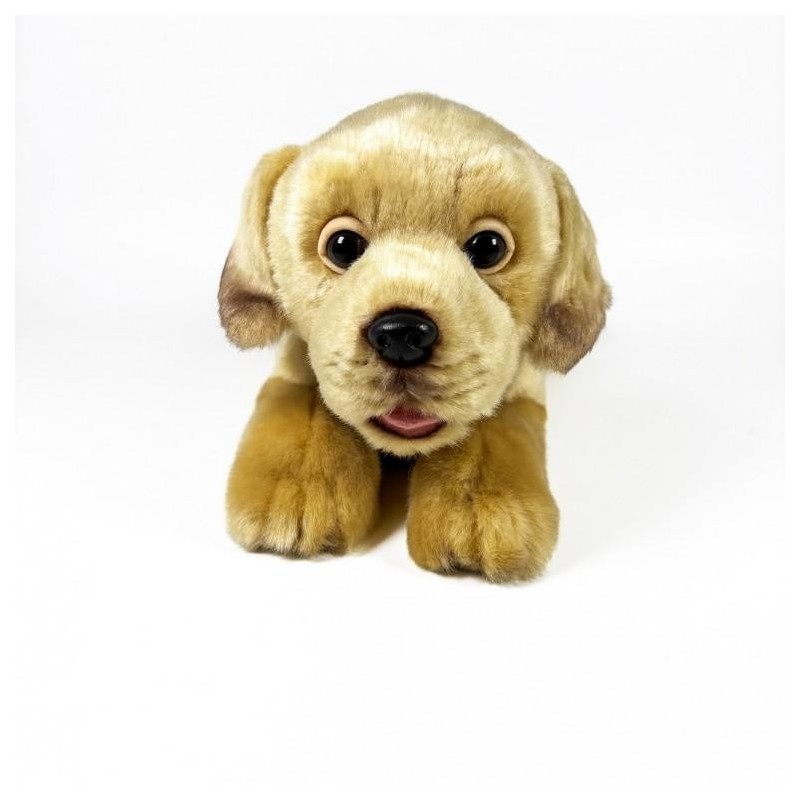 PELUCHE LABRADOR CANELA TUMBADO 25CM