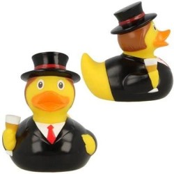 Pato Novio