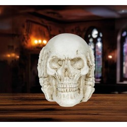 CALAVERA RESINA 6 CMS