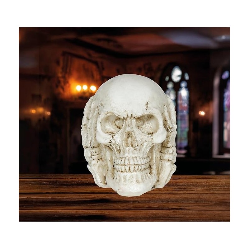 CALAVERA RESINA 6 CMS