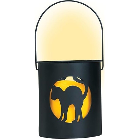 FAROL CON LED GATO 10X9 CMS