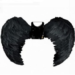 80 * 60 cm alas angel pluma negro