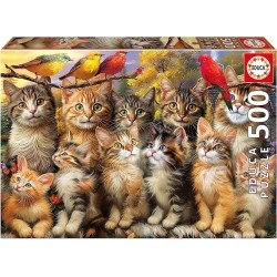 500 Gatitos Y Pájaros