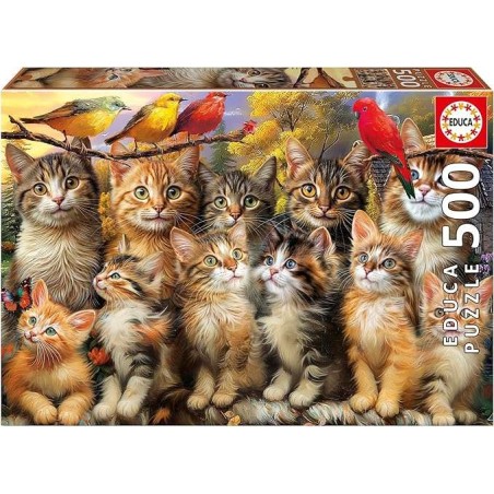 500 Gatitos Y Pájaros