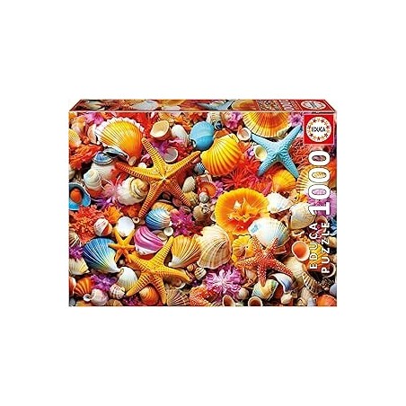 1000 Collage De Conchas