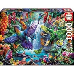 1000 Colibríes Tropicales