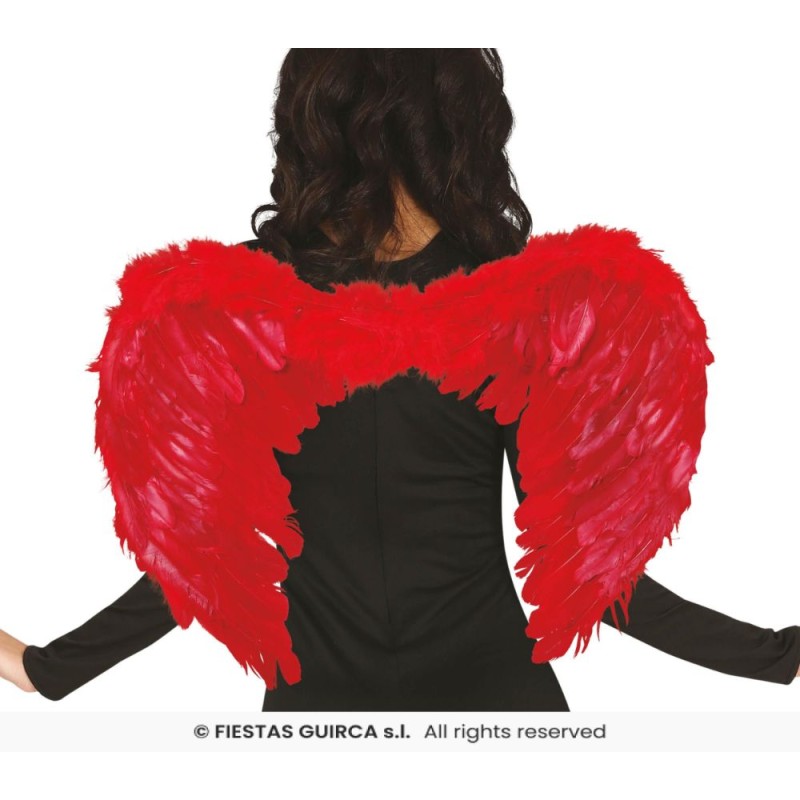 ALAS PLUMAS ROJAS 60x40 CMS.
