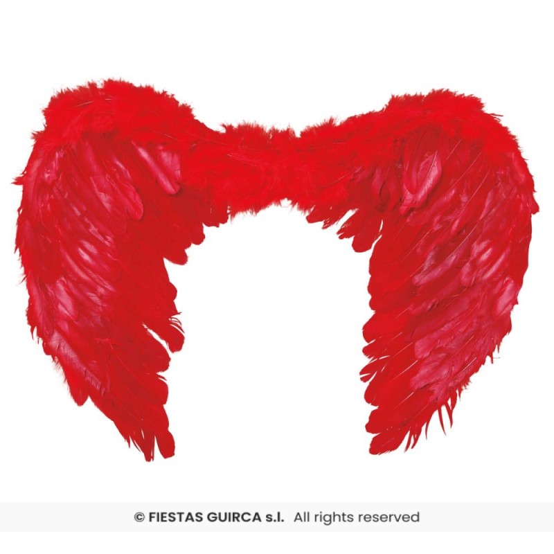 ALAS PLUMAS ROJAS 60x40 CMS.