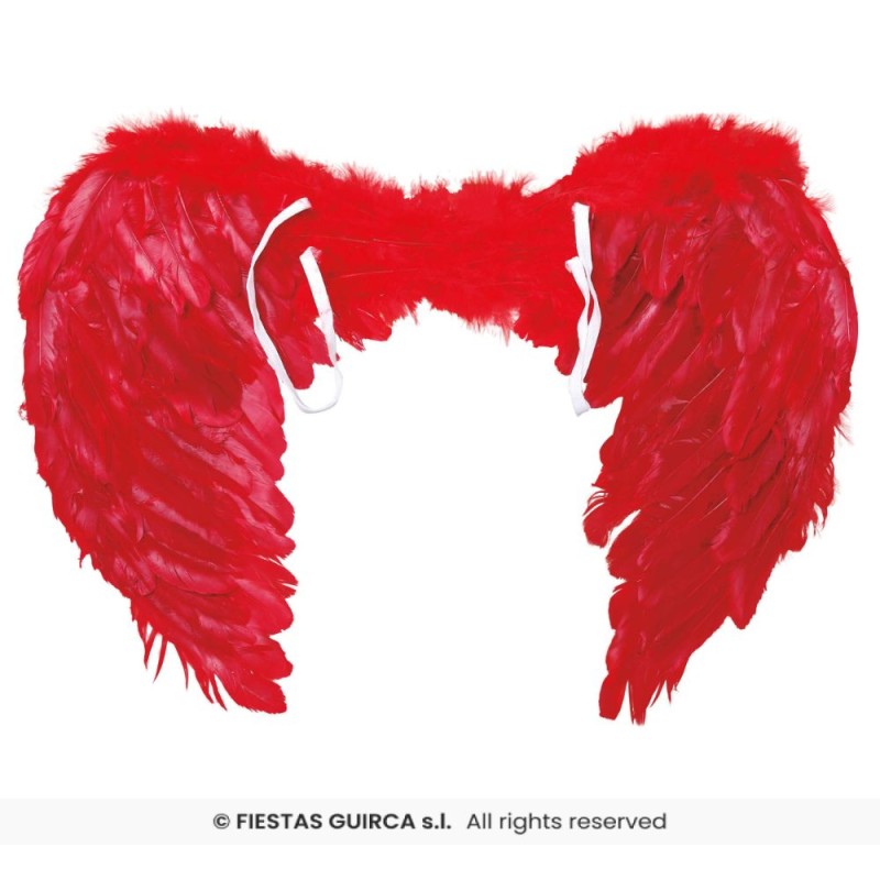 ALAS PLUMAS ROJAS 60x40 CMS.
