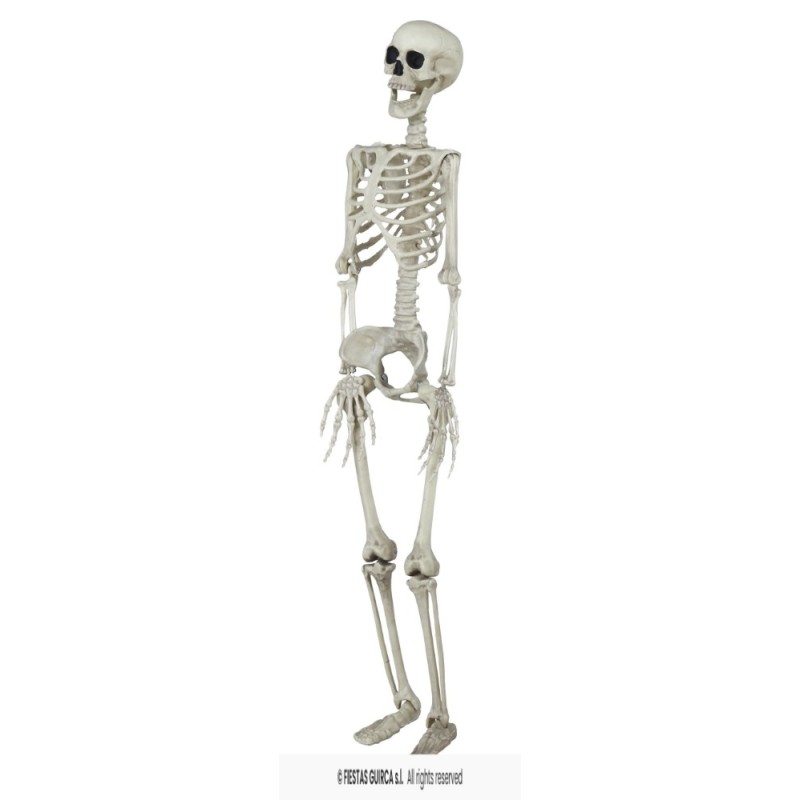 ESQUELETO 90 CMS.