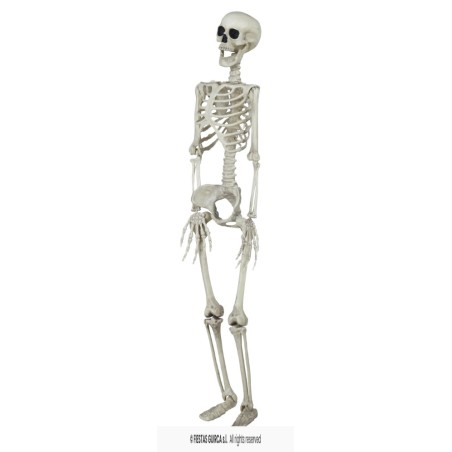 ESQUELETO 90 CMS.