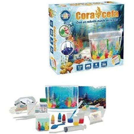 CORALCEFA