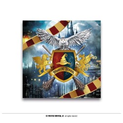 PAQUETE 12 SERVILLETAS MAGIC SCHOOL HARR