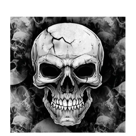 PACK DE 12 SERVILLETAS DE CALAVERAS DE H