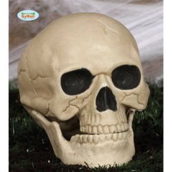 CALAVERA 20 CMS