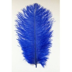 PLUMA AVESTRUZ AZUL ELECTRICO REAL