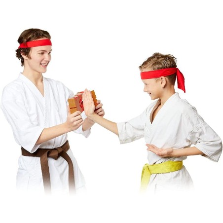 JUEGO KARATE KAI