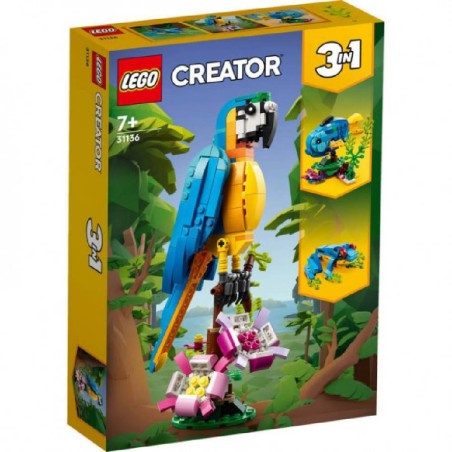 Loro Exótico