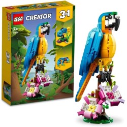 Loro Exótico 2
