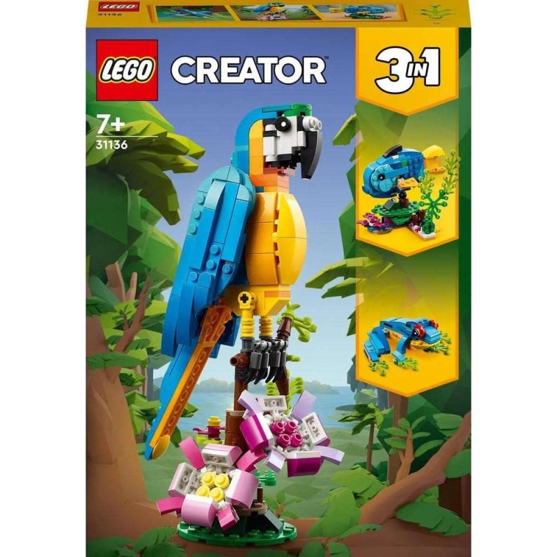 Loro Exótico