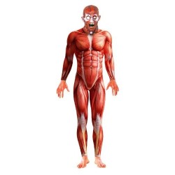 DISFRAZ CUERPO HUMANO TALLA L