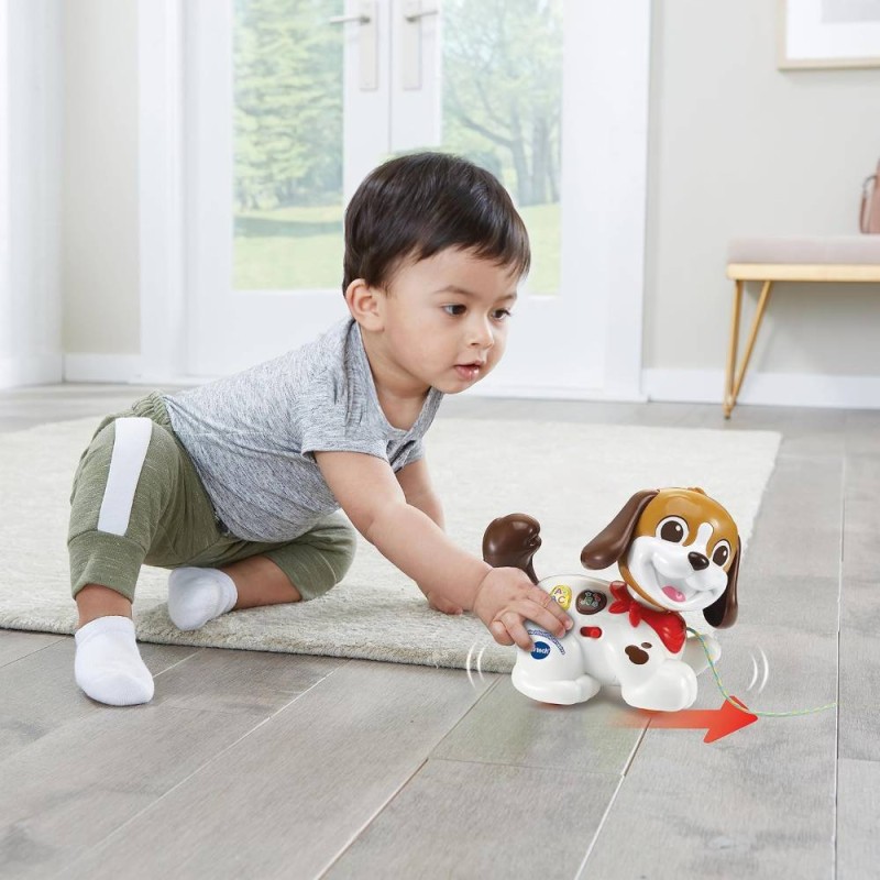 Perrito infantil de arrastre Paseos y av