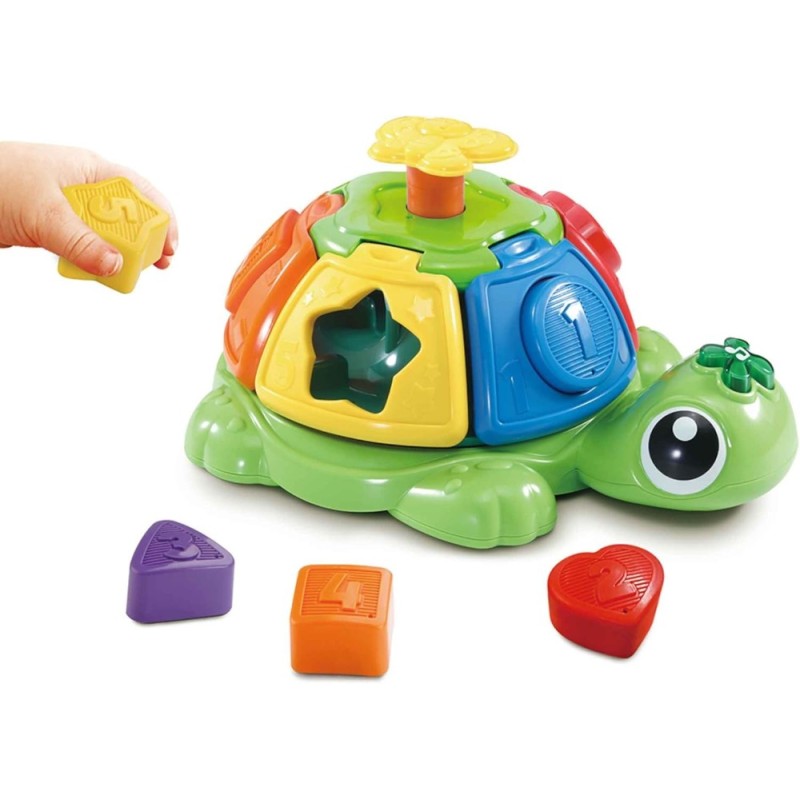 Tortuga giros y sorpresas