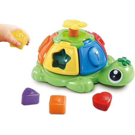 Tortuga giros y sorpresas