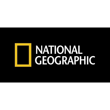 SET 5 FIGURAS DE DINOSAURIOS NATIONAL GE